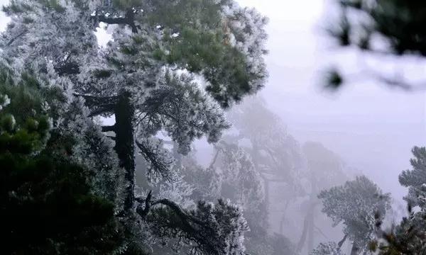 求生指南2