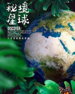 快刺水果