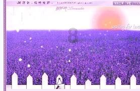 滕哈赫:拉什福德请了病假,这是内部问题我会处理的