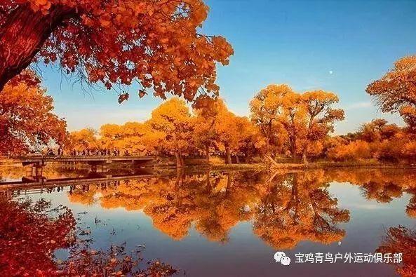 绣球花可以养冰箱吗？游戏画面