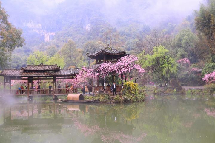 非人学园