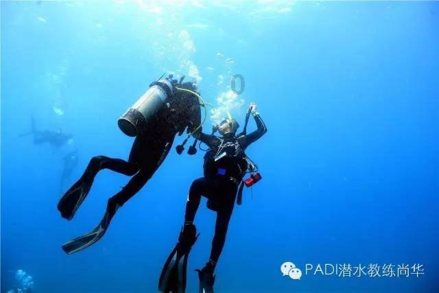 “国保”蕨挖不得!三人涉嫌危害国家重点保护植物罪被判刑,看看