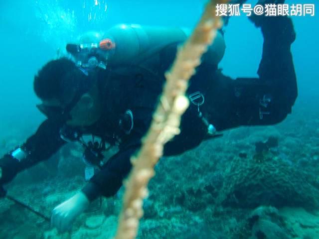 克苏鲁的呼唤