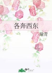 召唤神龙万宁版祖龙