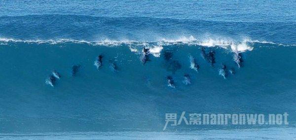 云南大学高水平运动队今年招20人