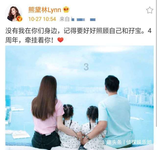 拯救受伤的猫