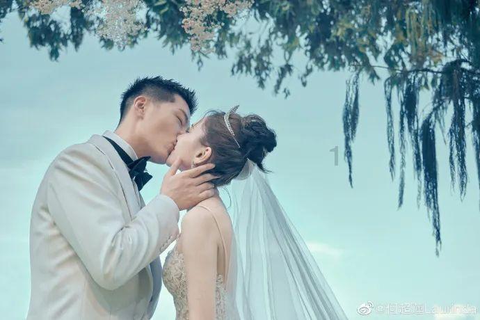 拯救昆虫群