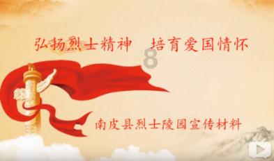拿破仑：全面战争
