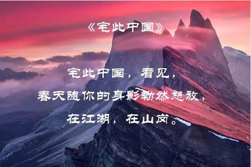 让动物飞一会