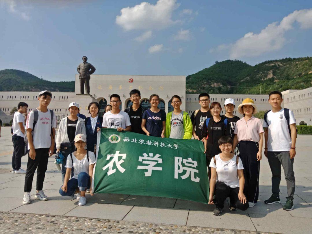 无为市残疾人死亡补助有吗?游戏画面
