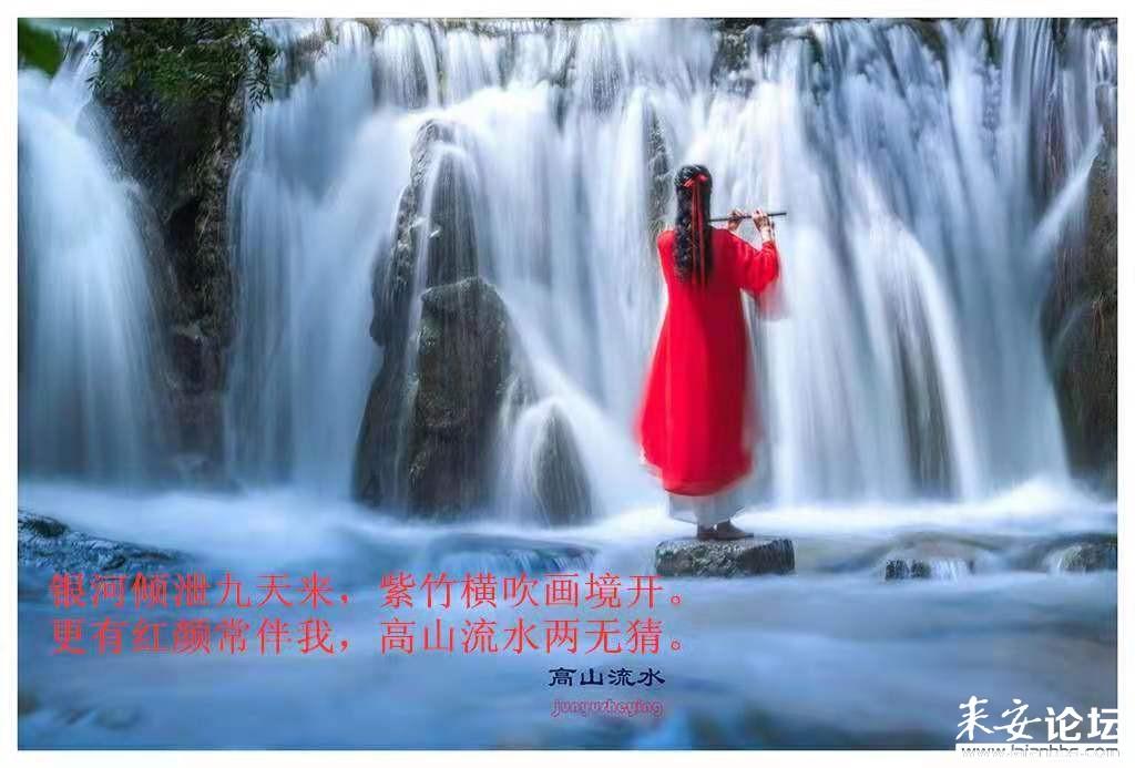 救援小棕兔
