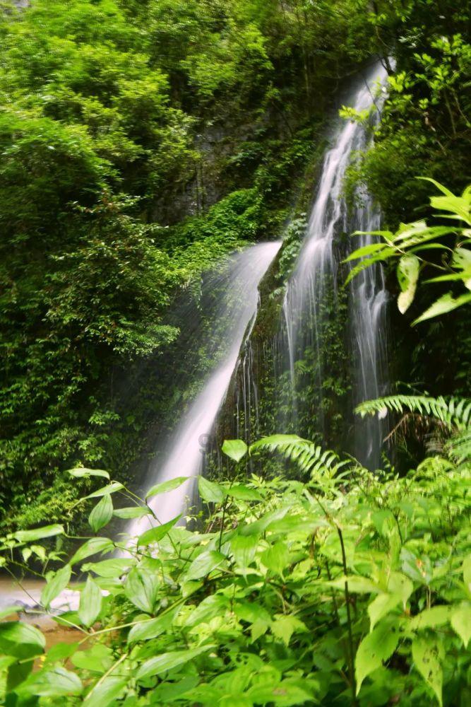 熊出没水果大陆2