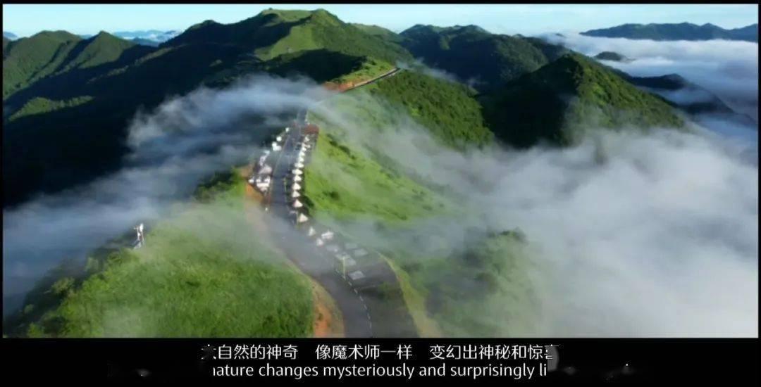 探寻知识星球 莫干山越野赛紧急取消,是因为天气原因吗?,拓展你的知识领域