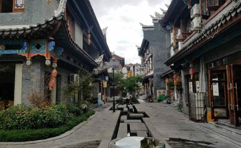 逗小猴开心系列205
