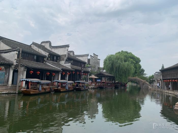 解救金刚鹦鹉