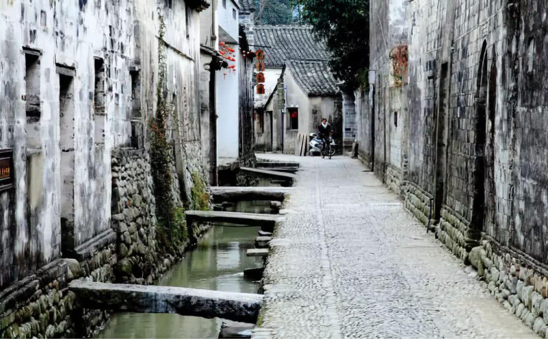 迷雾求生
