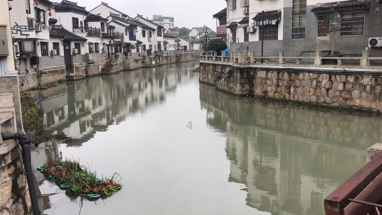 梦幻糖果森林逃生